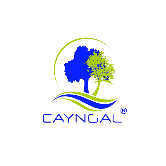 cayngal-logoo