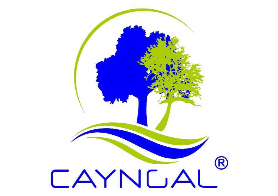 default-logo