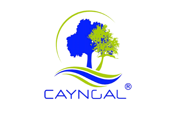default-logo